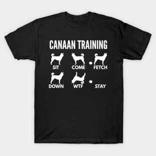 Canaan Dog Training Bedouin Sheepdog Tricks T-Shirt